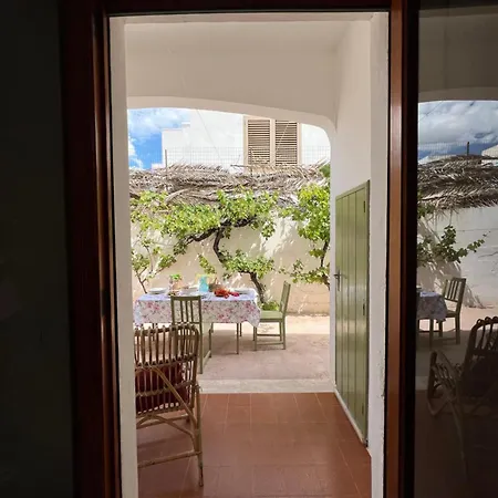 Green Villa Villa